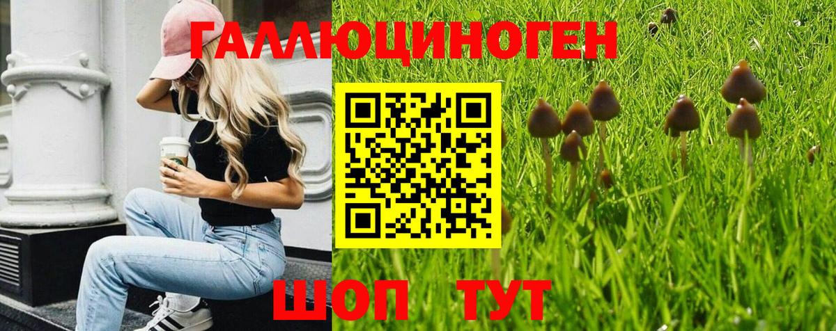 Псилоцибиновые грибы Psilocybine cubensis Туймазы