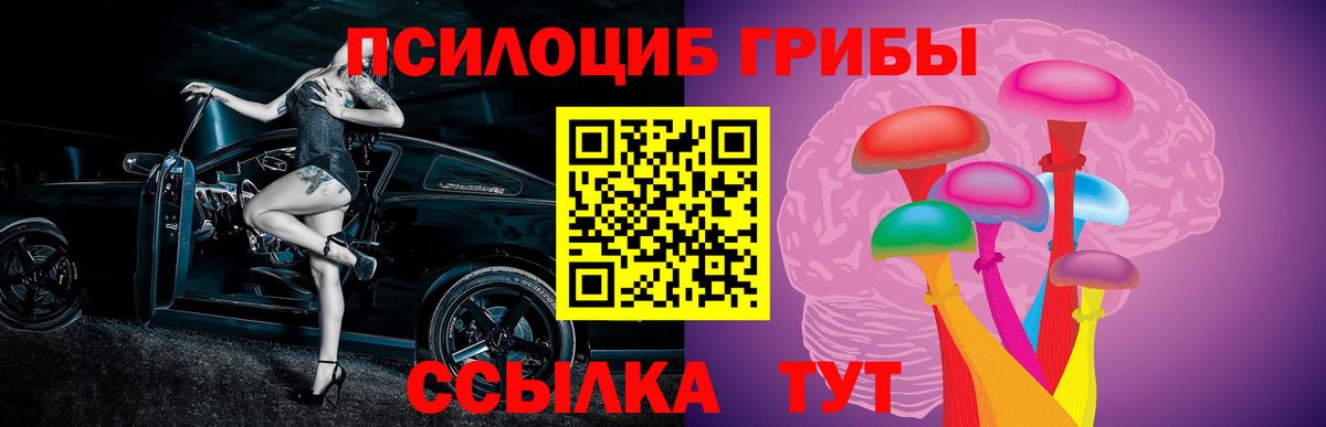 Туймазы  Псилоцибиновые грибы GOLDEN TEACHER  Галлюциногенные грибы MAGIC MUSHROOMS  Вход с VPN 